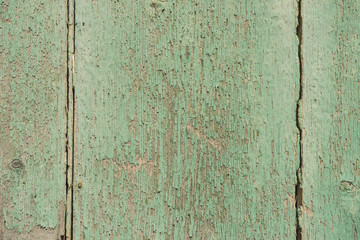 Shabby styled wooden boards pastell-green