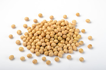 soybean
