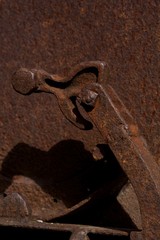 Rost