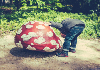 little kid searching for something under a mushroom