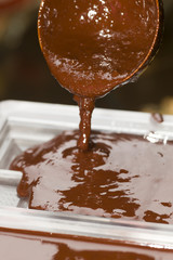 Ingredients for preparation of artisanal chocolate bar
