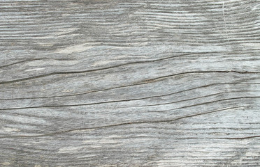 Fototapeta premium Holz Textur
