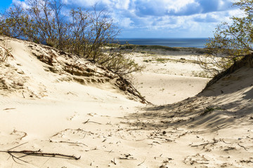 Sand dunes on the Baltic sea