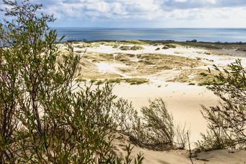 Sand dunes on the Baltic sea
