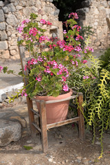 Fototapeta na wymiar Stuhl mit Blumen
