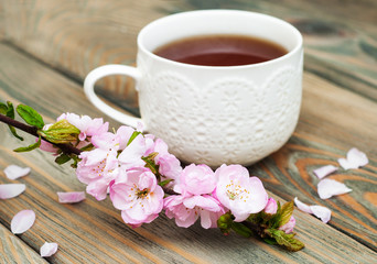 Cup of tea and sakura blossom