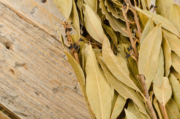 Bay leaves