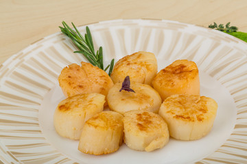 Grilled scallops
