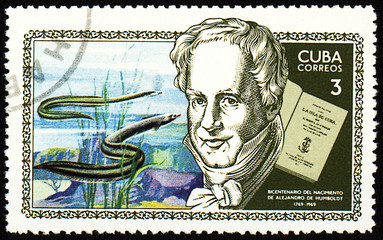 Alexander von Humboldt and sea-eel on post stamp
