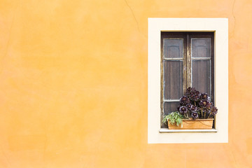 Closed window with planter