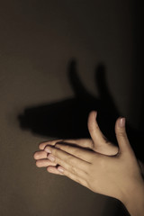 Shadow of female hands forming animal face on dark background