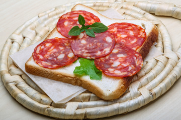 Salami sandwich