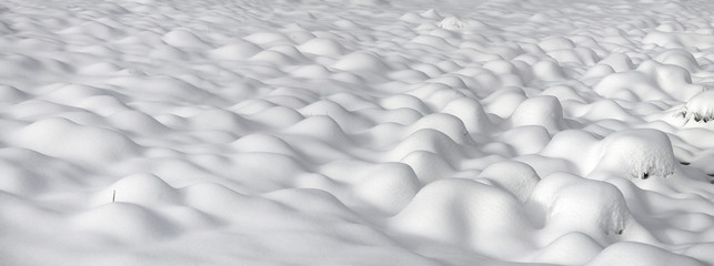 Fototapeta premium Alpine is the climate