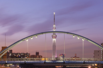 Obraz premium New Tokyo landmark Tokyo skytree in twilight time