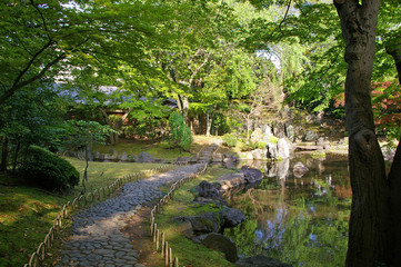 Obraz premium 新緑