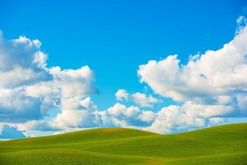 Scenic Meadow Background
