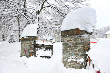 Neve