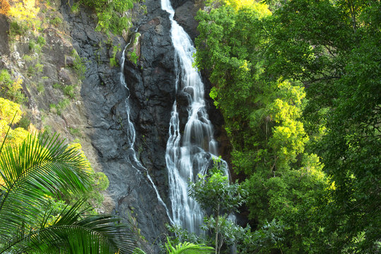 Fototapeta Beautiful Kondalilla Waterfall.