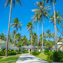 Beautiful tropical resort bungalows under the palm trees