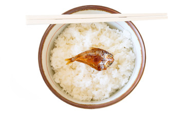 rice in a bowl and fish on top