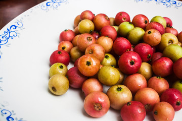A Red and Green Fresh Indian Plum (Flacourtia sp.)
