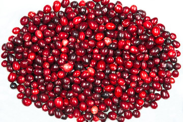 Cranberries isolated on white background