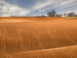 Fototapeta na wymiar Spring view of a plowed field in Northeastern Bulgaria