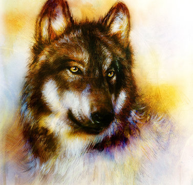  Wolf painting, color  background on paper , multicolor illustra