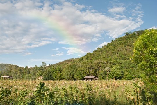 mountain view with rainbow from nature in thailand