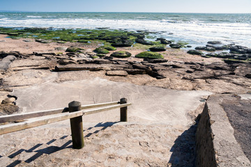 France, Pas de Calais, Cote d'Opale, Parc naturel regional des Caps et Marais d'Opale, Cap Blanc Nez, limestone cliffs