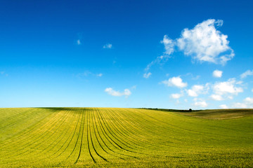 Fototapeta na wymiar green field and blue sky with clouds in Picardy, France, Europe