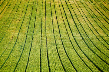 green field in Picardy, France, Europe