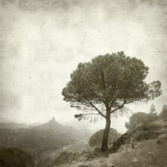 textured old paper background