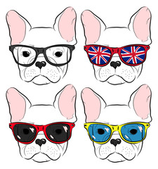 set of cute muzzle French Bulldog in glasses