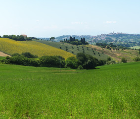 Obraz premium Summer landscape in Marches (Italy)