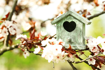 Decorative nesting box on bright background