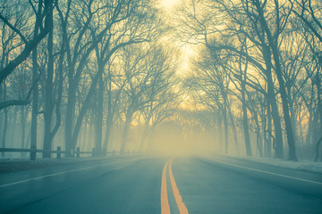 Empty road with yellow lines on foggy morning  - Powered by Adobe