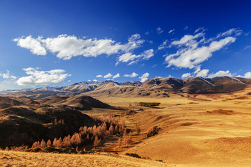 Wild valley in Altai in spring