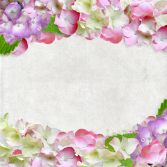 Obraz premium 紫陽花のフレーム