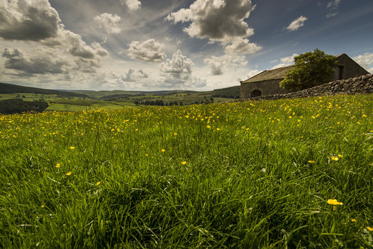 Appletreewick Pasture