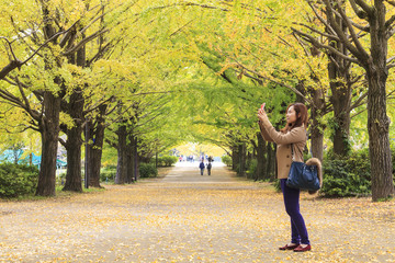 Showa Memorial Park
