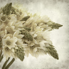 textured old paper background