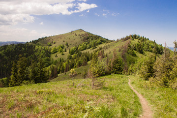 Fototapeta premium path in green summer mountains with white cloudy blue sky