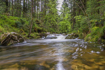 Ruisseau de montagne