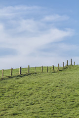 Obraz premium Foto zum Thema Land