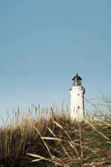 Leuchtturm von Hirtshals mit Strandhafer