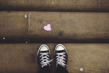 Segui il tuo cuore
