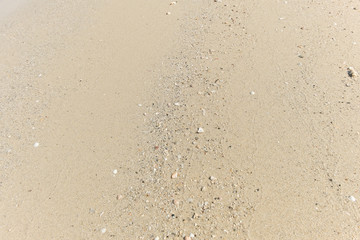 Sand pattern of a beach