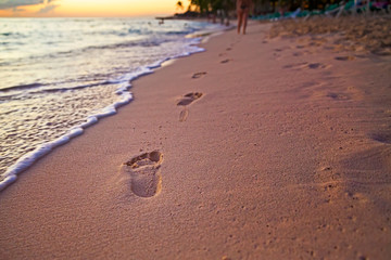 walk on sunset