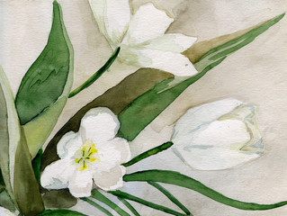 tulips_watercolor_handwork